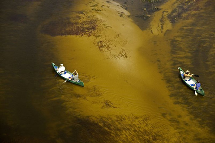 Canoeing on the Selinda Spillway