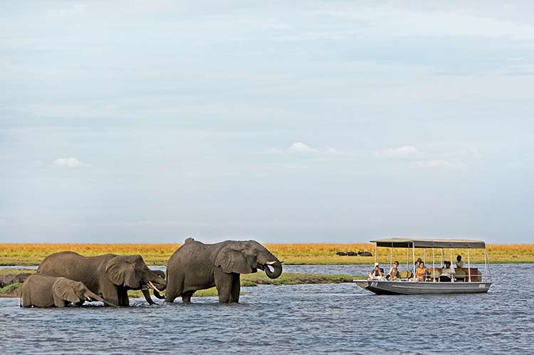 Chobe River Cruises
